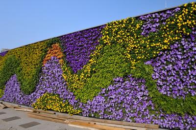 道路植物墙
